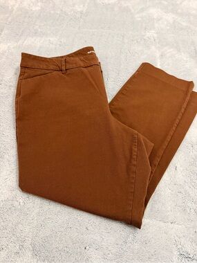 Old Navy High-Waisted Pixie Skinny Ankle Pants Horsing Around Brown Size 18